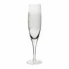Denby Monsoon Filigree Champagne Flute Pack of 2 - Elegant Drinkware for Special Occasions -HARTS OF STUR Sales 401013763 Denby Monsoon Filigree Champagne Flute Pack of 2
