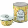 Clare Mackie Chicken Noodle Soup Mug - 400ml Ceramic Soup Cup with Handle, Microwave & Dishwasher Safe -HARTS OF STUR Sales 903047 A31 Claire Mackies Chicken Soup Mug