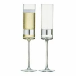 Anton Studios SoHo Champagne Flutes Set of 2 - Elegant Silver Drinkware