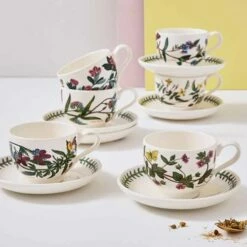 Portmeirion Botanic Garden Teacup & Saucer Set of 6 - Traditional English Drinkware -HARTS OF STUR Sales BG04107 Botanic Garden by Portmeirion Teacup And Saucer Traditional Set of 6 3