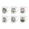 Portmeirion Botanic Garden Coffee Mug Set Of 6 - Elegant Ceramic Drinkware for Tea & Coffee -HARTS OF STUR Sales BG48600 Botanic Garden by Portmeirion Coffee Mug Set of 6