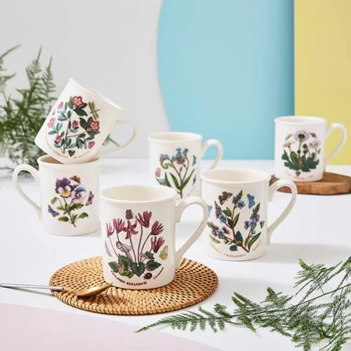 Portmeirion Botanic Garden Breakfast Mug Set Of 6 - Elegant Ceramic Coffee Mugs for Tea & Coffee Lovers 4 Portmeirion Botanic Garden Breakfast Mug Set Of 6 - Elegant Ceramic Coffee Mugs for Tea & Coffee Lovers - Image 2