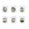 Portmeirion Botanic Garden Breakfast Mug Set Of 6 - Elegant Ceramic Coffee Mugs for Tea & Coffee Lovers -HARTS OF STUR Sales BG48700 Botanic Garden by Portmeirion Breakfast Mug Set of 6