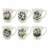 Portmeirion Botanic Garden Tulip Beaker Set Of 6 - Elegant Drinkware for Tea & Coffee -HARTS OF STUR Sales BG49610 Botanic Garden by Portmeirion Tulip Beaker Set of 6