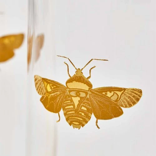 Spode Creatures Of Curiosity Set Of 2 Highball Glasses - Elegant Drinkware for Unique Entertaining 5 Spode Creatures Of Curiosity Set Of 2 Highball Glasses - Elegant Drinkware for Unique Entertaining - Image 3