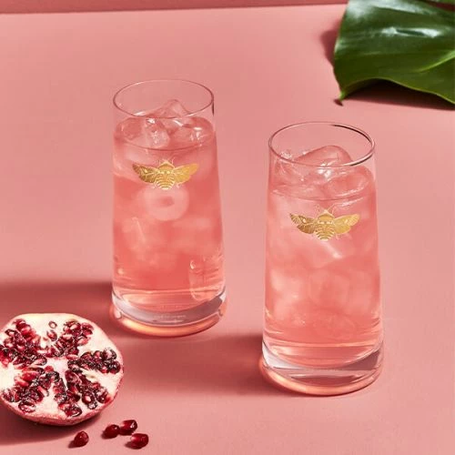 Spode Creatures Of Curiosity Set Of 2 Highball Glasses - Elegant Drinkware for Unique Entertaining 8 Spode Creatures Of Curiosity Set Of 2 Highball Glasses - Elegant Drinkware for Unique Entertaining - Image 6