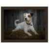 Rural Roots Jack Russell Lap Tray - Lightweight & Durable Tableware for Home Use -HARTS OF STUR Sales FLTF2606 Rural Roots By Tradestock Jack Russell Lap Tray