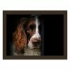 Rural Roots Springer Spaniel Lap Tray | Handcrafted Wooden Tableware for Dog Lovers 1 Rural Roots Springer Spaniel Lap Tray | Handcrafted Wooden Tableware for Dog Lovers -HARTS OF STUR Sales FLTF2607 Rural Roots By Tradestock Springer Spaniel Laptray