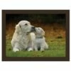 Rural Roots Golden Retrievers Lap Tray - Stylish & Durable Tableware for Home Use -HARTS OF STUR Sales FLTF2608 Rural Roots By Tradestock Golden Retrievers Laptray