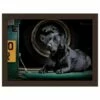 Rural Roots Bella The Black Lab Lap Tray | Stylish & Durable Tableware for Home Use -HARTS OF STUR Sales FLTF2609 Rural Roots By Tradestock Bella The Black Lab Lap Tray