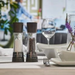 Cole & Mason Derwent Black Wood 190mm Salt & Pepper Gift Set - Premium Tableware -HARTS OF STUR Sales H332293 Cole And Mason Derwent Black Wood Gift Set 3