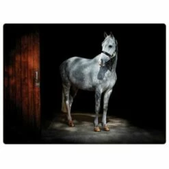 Rural Roots Horse Placemat Pack Of 4 - Durable Table Mats for Dining & Kitchen - Set of 4 -HARTS OF STUR Sales PMO2605X4 Rural Roots By Tradestock Horse Placemat Pack Of 4 1
