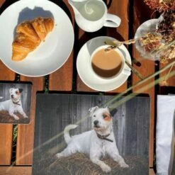 Rural Roots Jack Russell Placemat Pack Of 4 - Durable Table Mats for Everyday Use -HARTS OF STUR Sales PMO2606X4 Rural Roots By Tradestock Jack Russell Placemat Pack Of 4 2