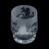 Dartington Aspect Tumbler Country Wildlife - Elegant Drinkware for Nature Lovers -HARTS OF STUR Sales TU34075COUNTRYWILDLIFE Dartington Aspect Tumbler Country Wildlife 1