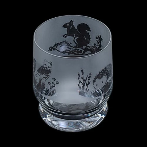 Dartington Aspect Tumbler Country Wildlife - Elegant Drinkware for Nature Lovers 3 Dartington Aspect Tumbler Country Wildlife - Elegant Drinkware for Nature Lovers
