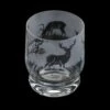 Dartington Aspect Tumbler Stag - Elegant Crystal Drinkware for Whisky, Wine & Cocktails -HARTS OF STUR Sales TU34075STAG Dartington Aspect Tumbler Stag