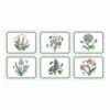 Portmeirion Botanic Garden Placemats Set Of 6 - Elegant Table Mats for Dining -HARTS OF STUR Sales X0010568013 Botanic Garden by Portmeirion Placemats Set of 6
